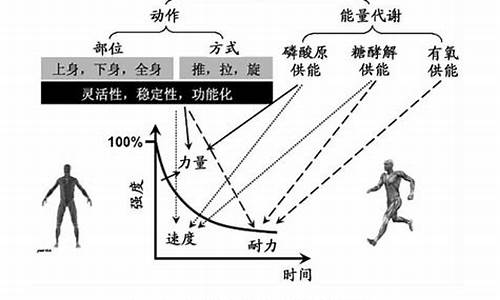 体育运动中的物理论文_体育运动与物理联系